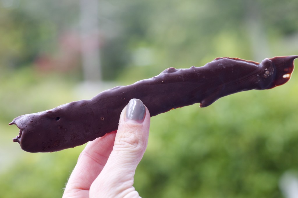chocolate bacon