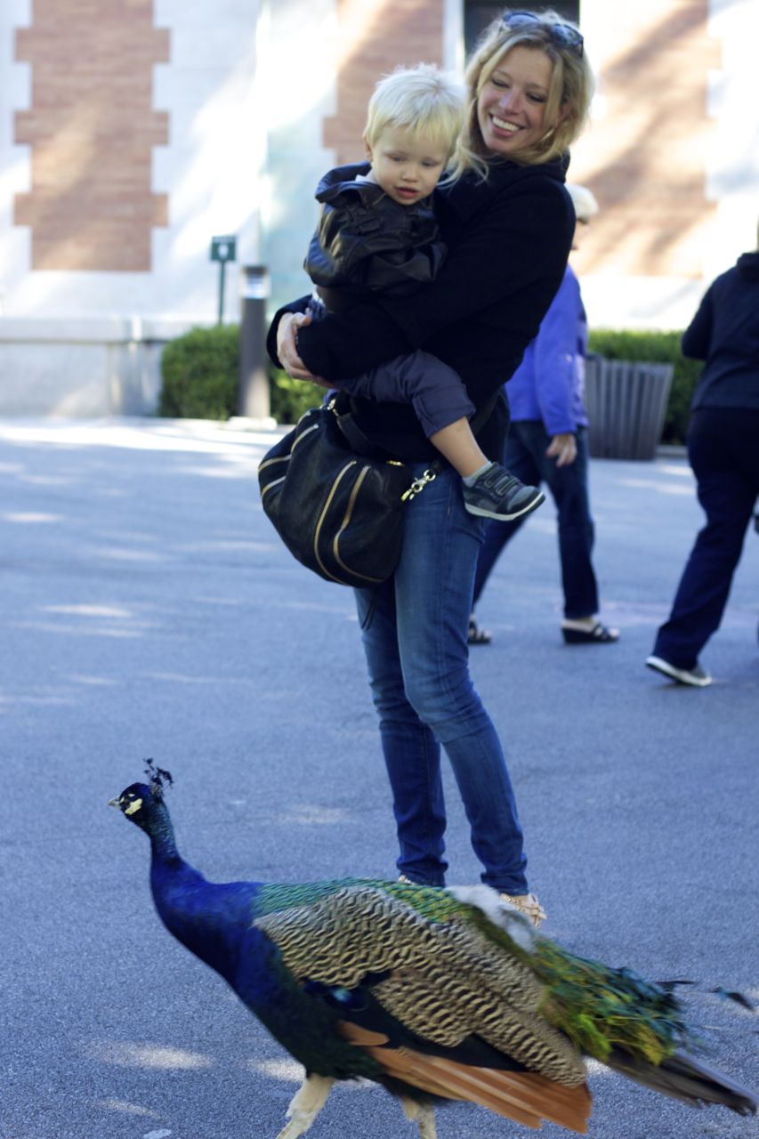 zoo 1