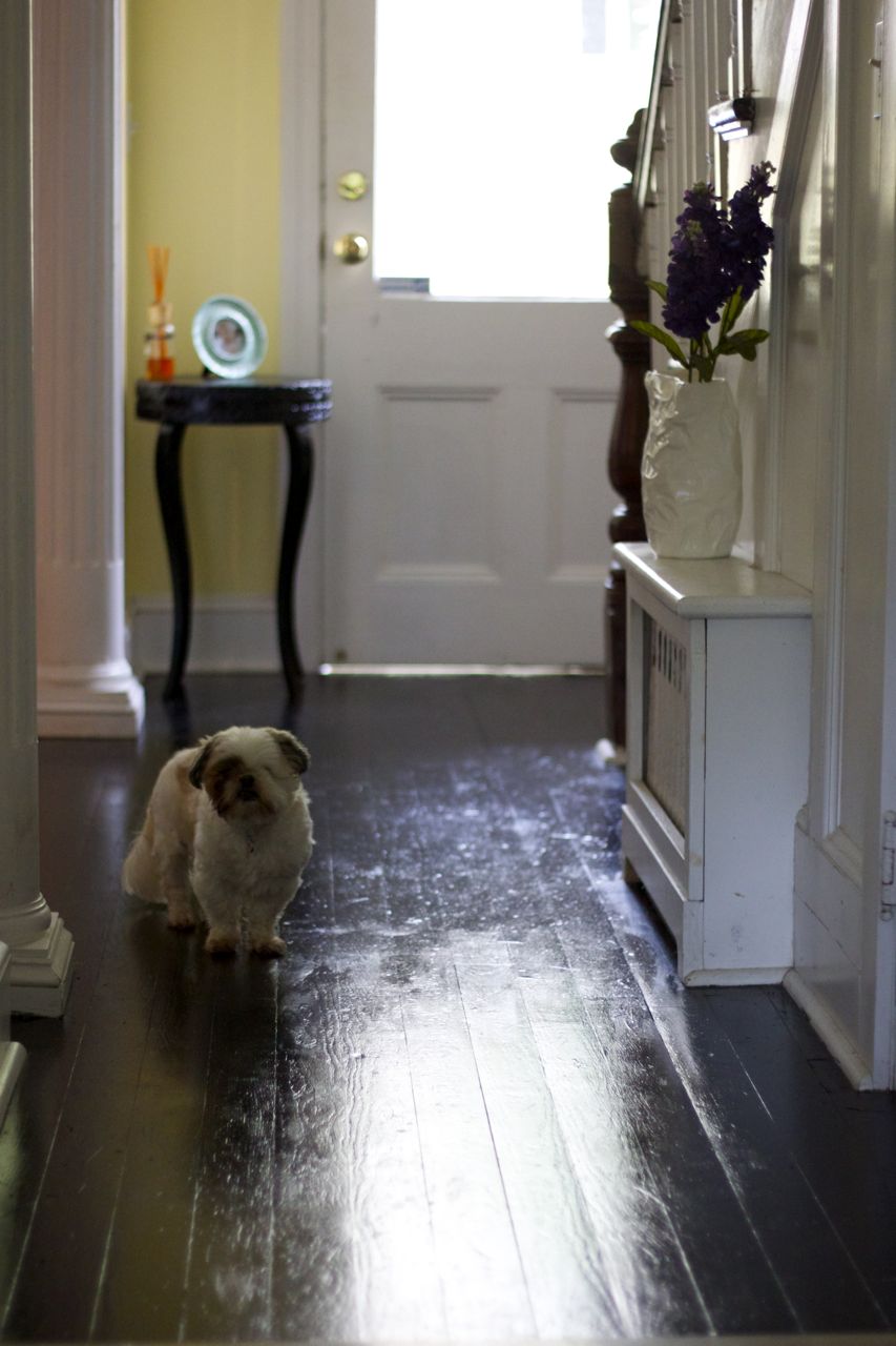 hallway after painting 3