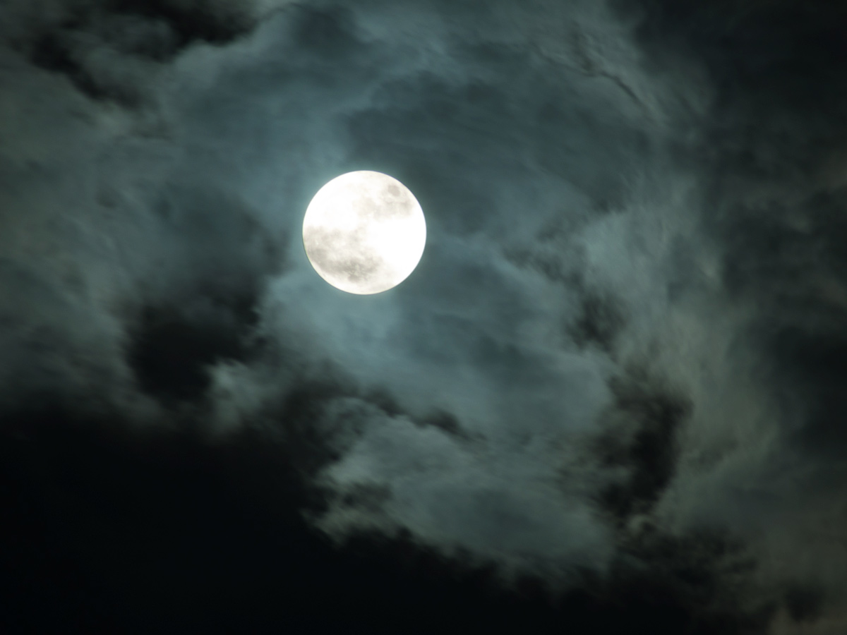 Halloween Moon