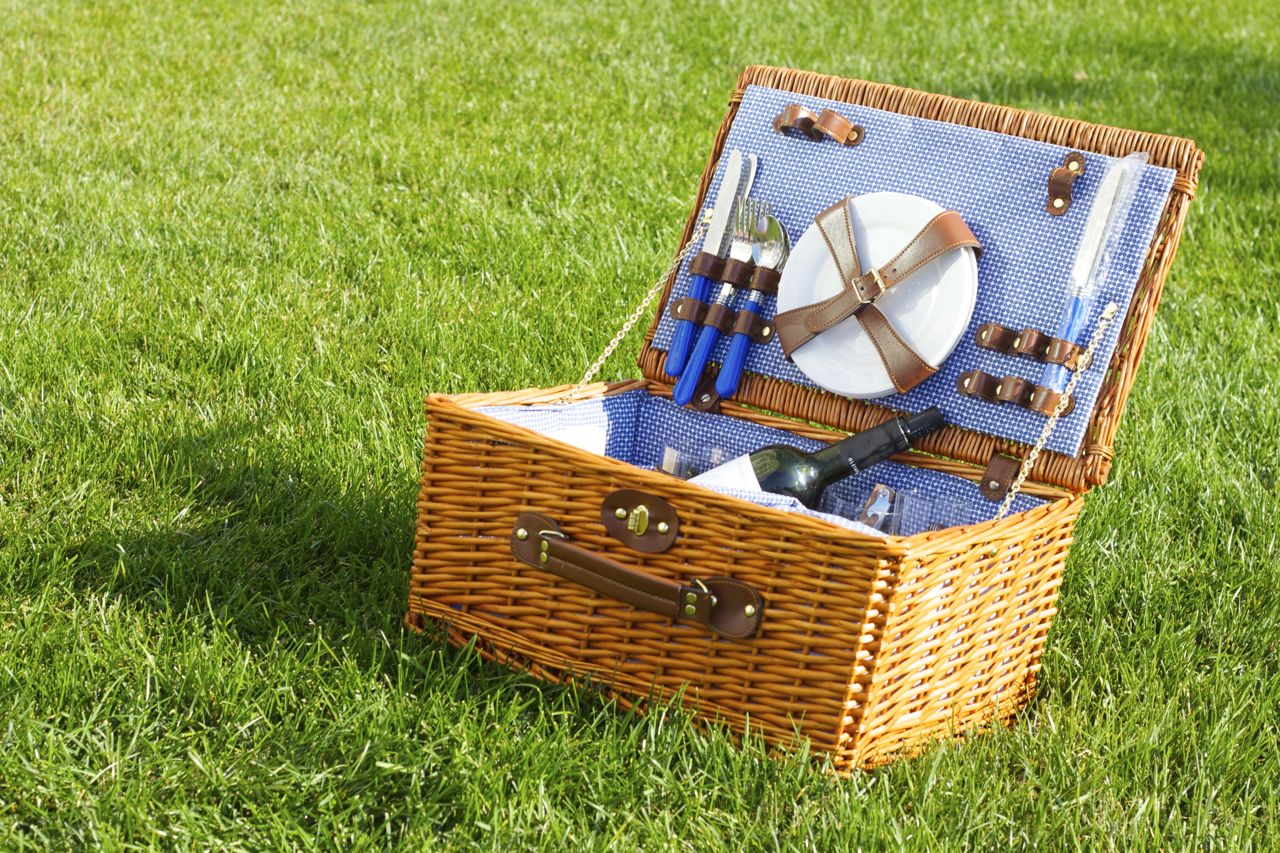 yale picnic 5