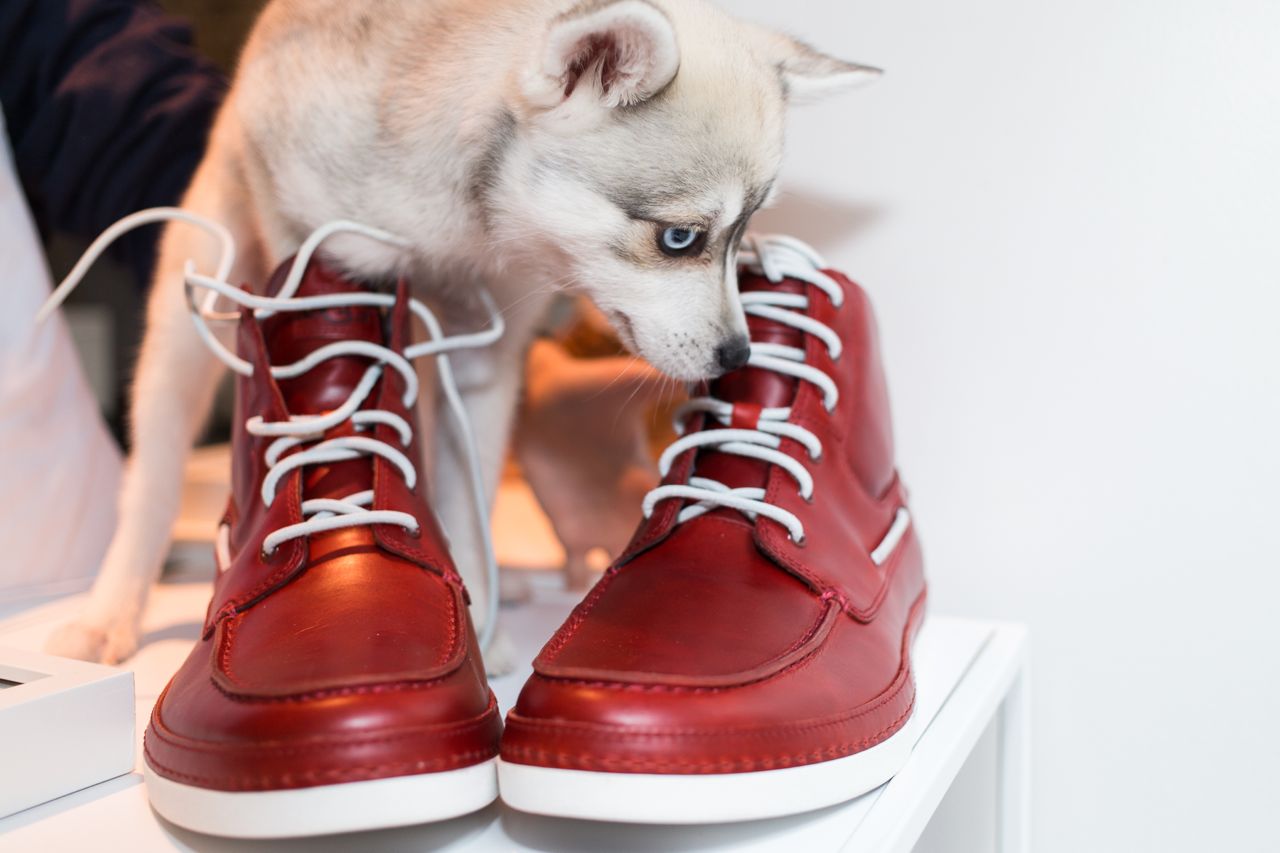 Joy Jacobs Photography UGG Australia Choose Your Hue