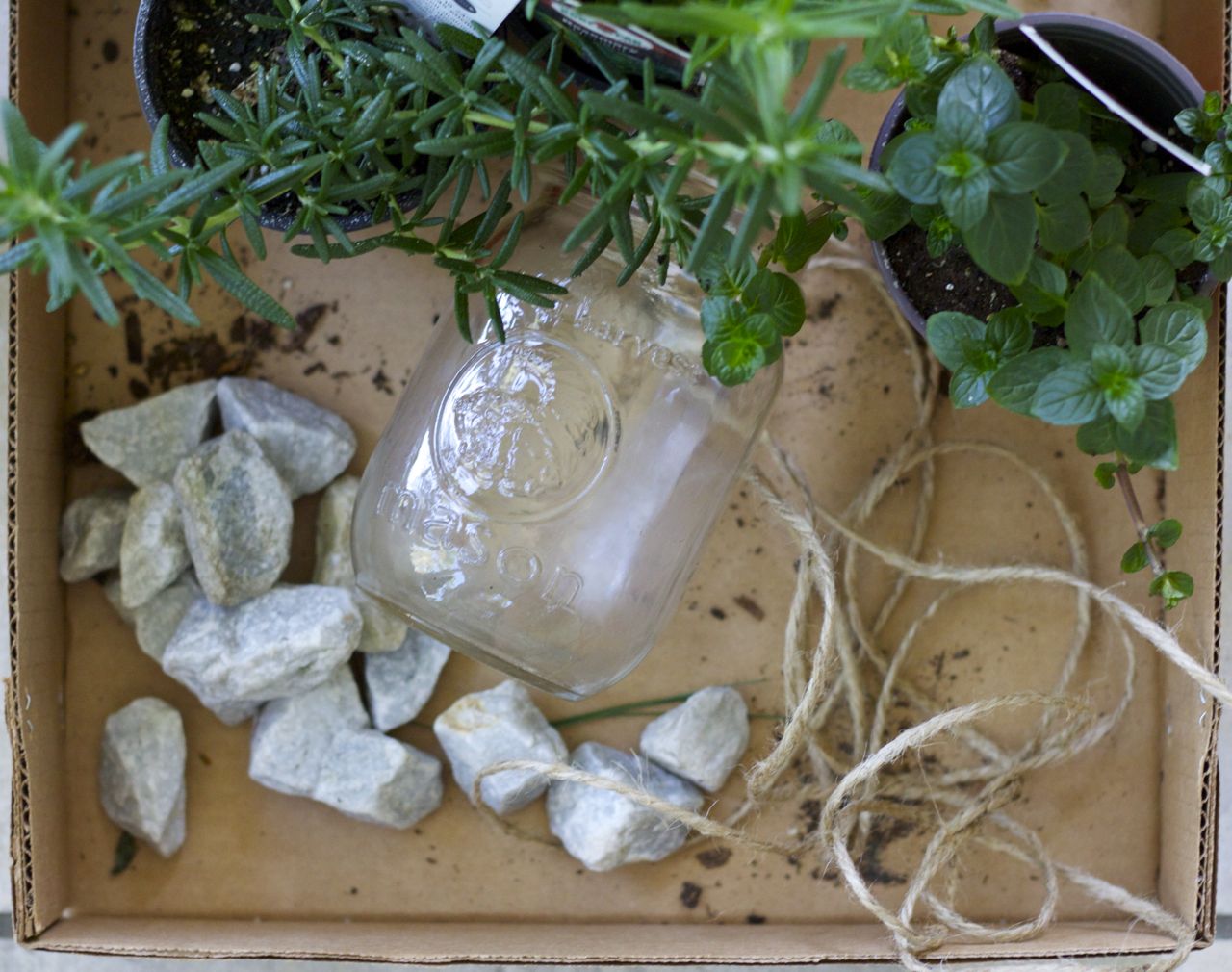 herb planter necessities