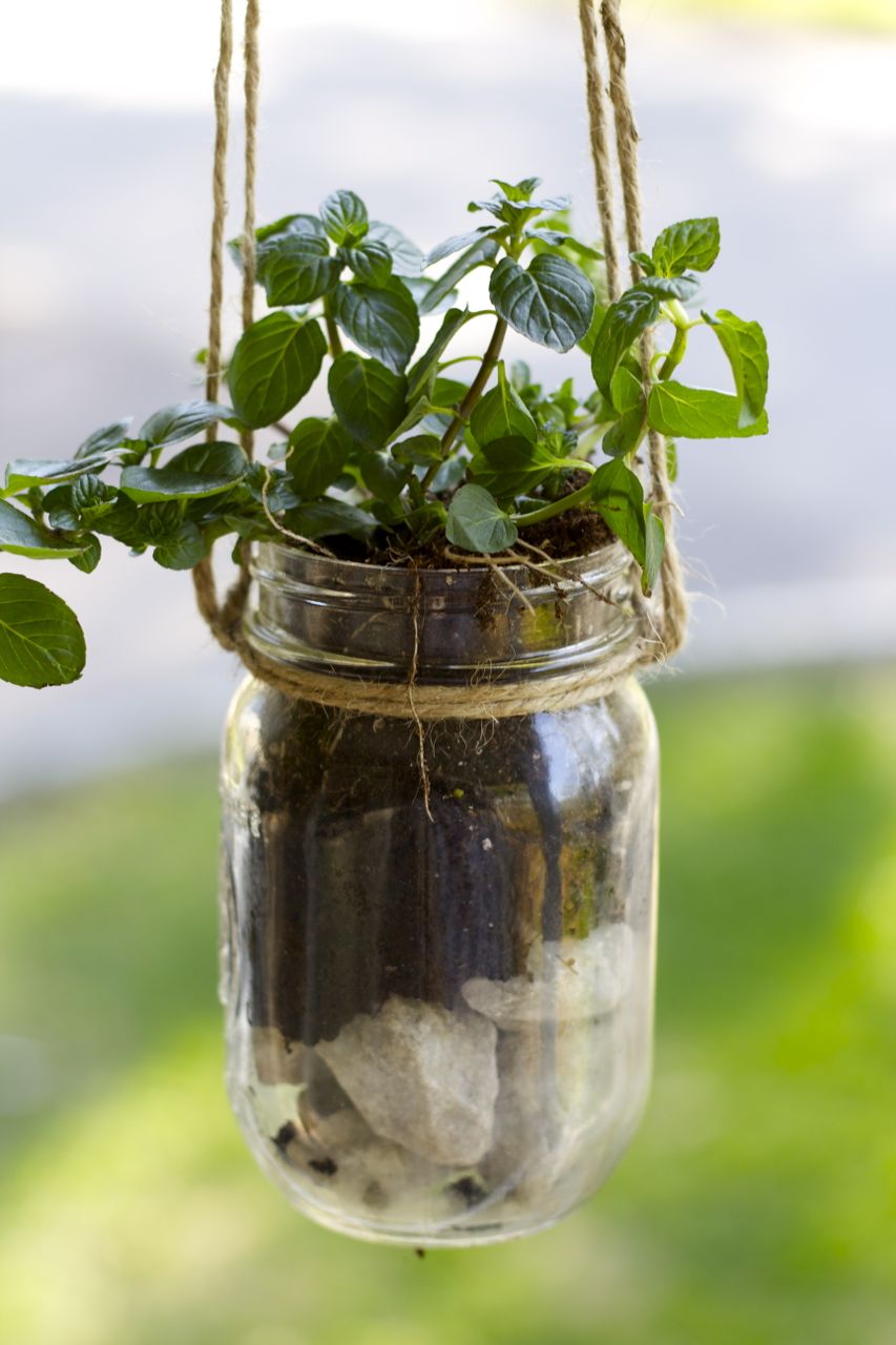 herb planter