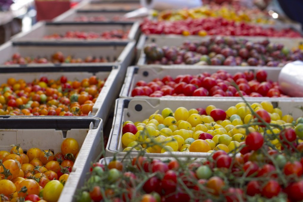 farmers market