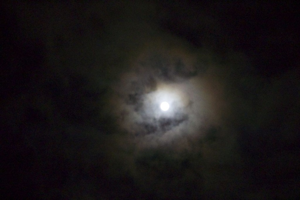 birth7