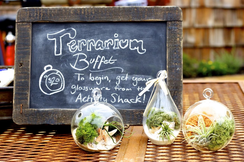 diy terrarium