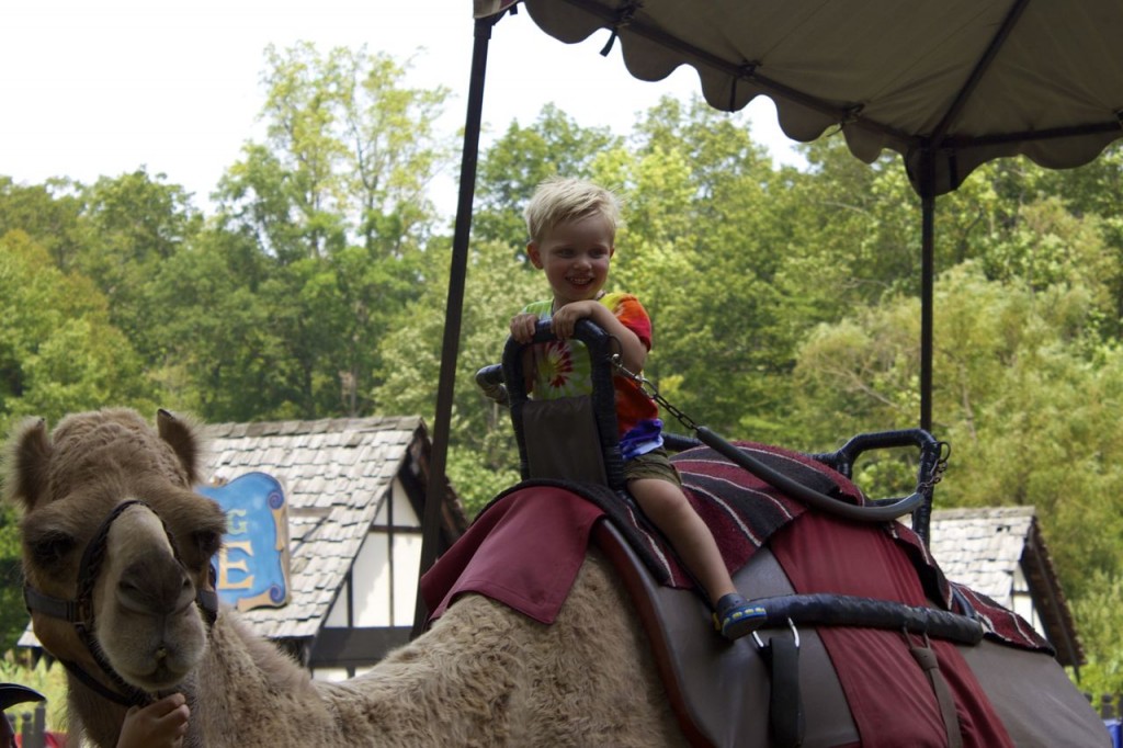 camel ride