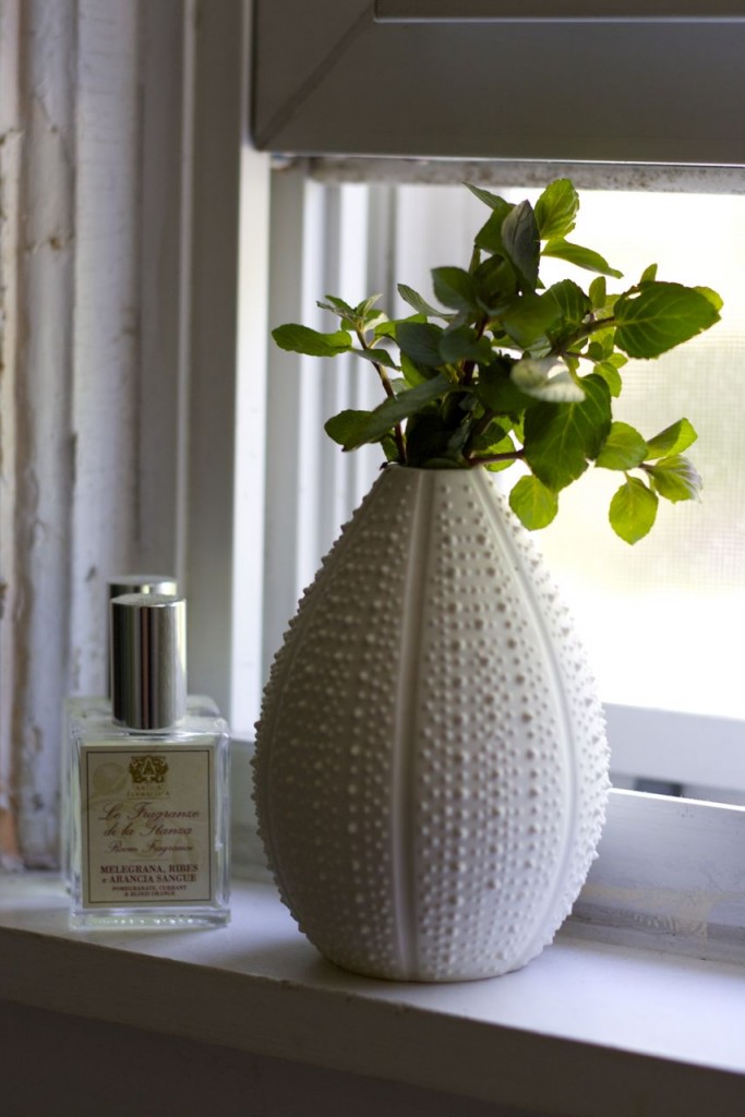 herbs in bathroom