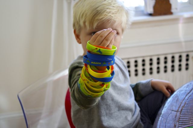dinosaur bracelets