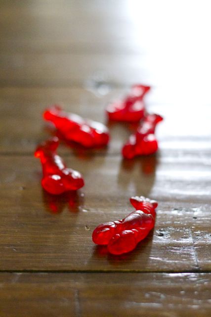 lobster gummies