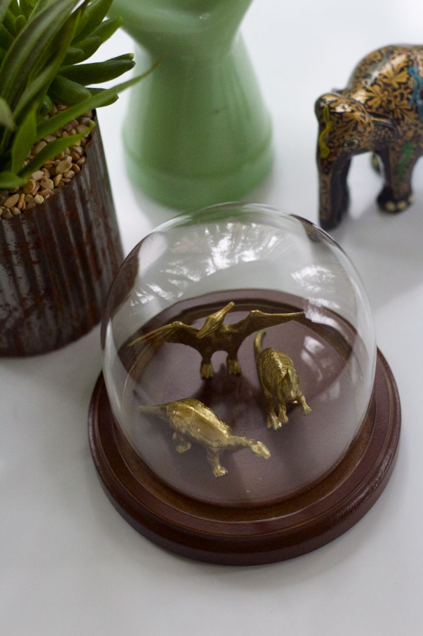 diy terrarium