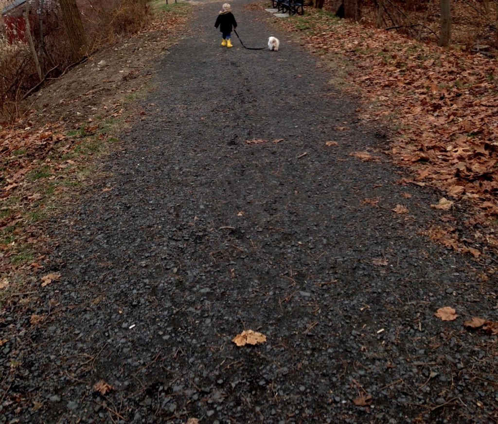 walking lucy