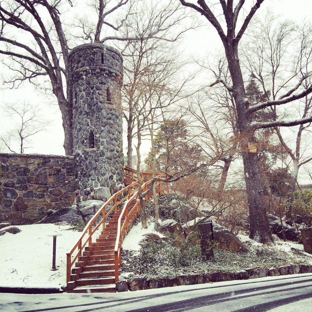 the castle hotel