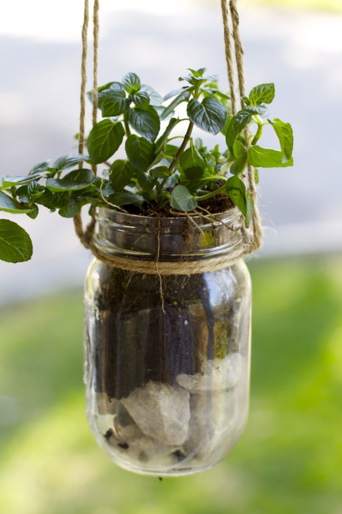 mason jar herb planter