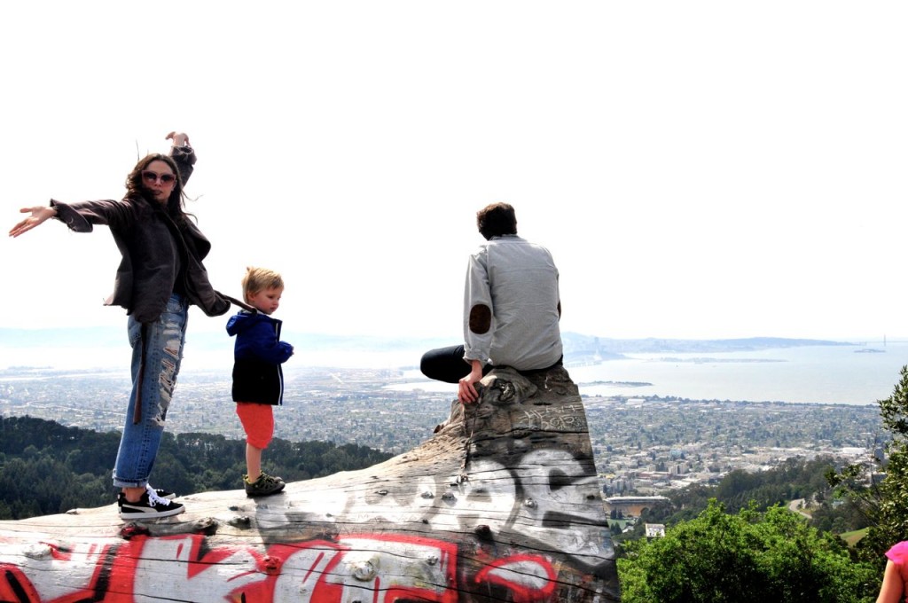 berkeley view