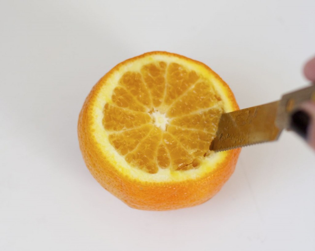 sorbet cup step 2