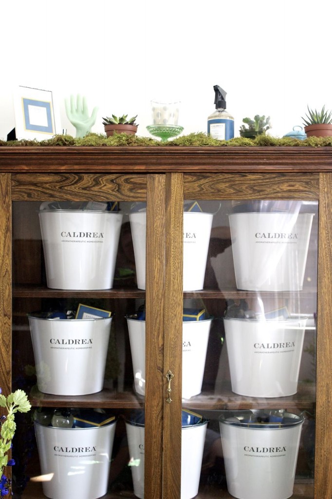 caldrea 18