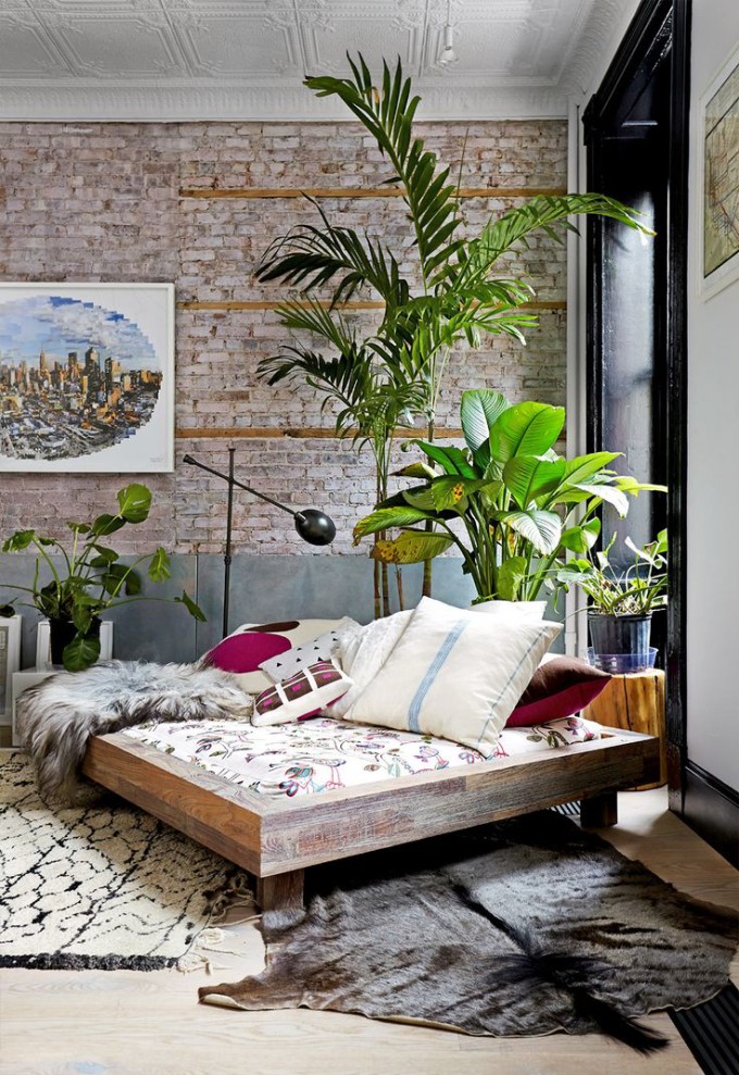 bedroom plants white rug palm