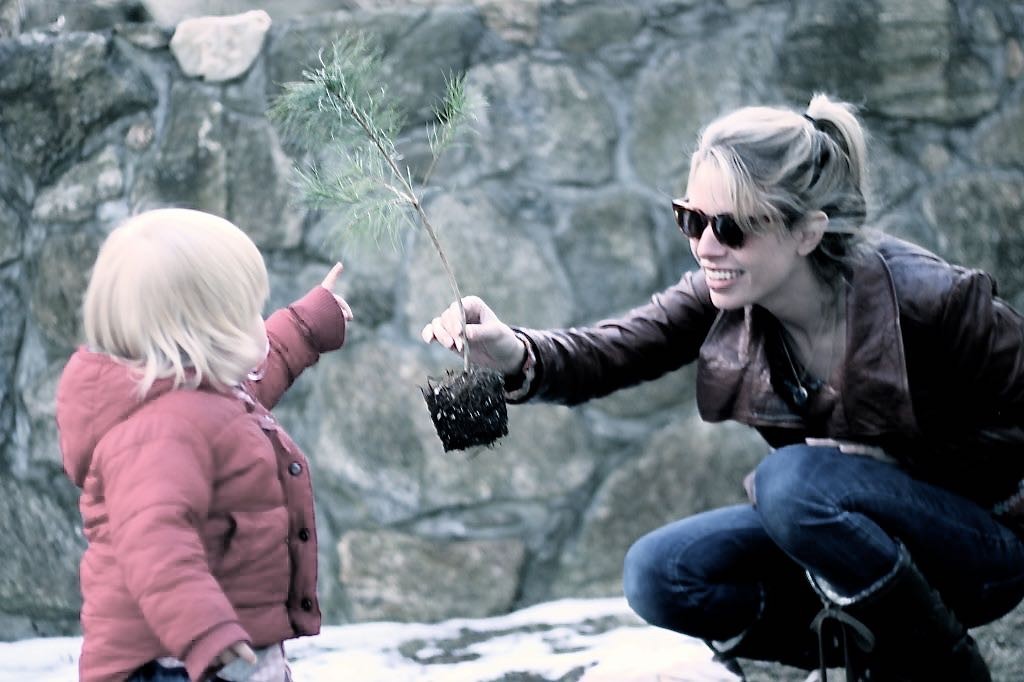 planting tree