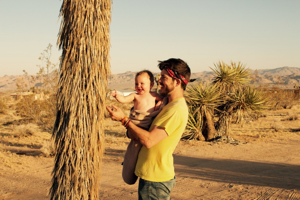 joshua tree national park