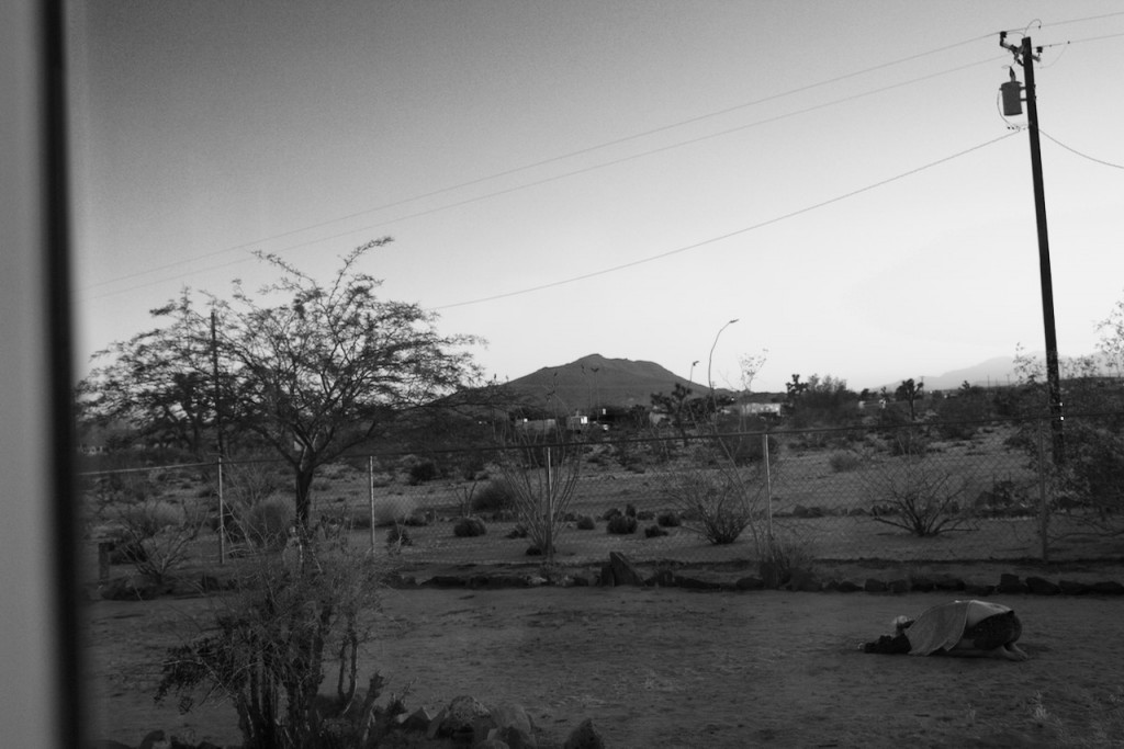 joshua tree national park