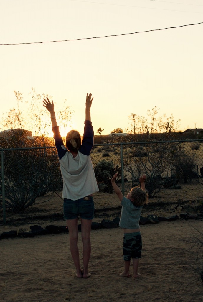 joshua tree national park