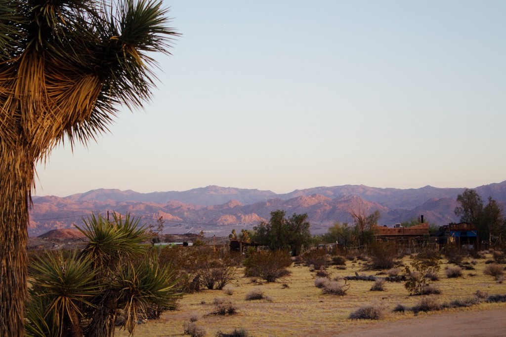 joshua tree national park
