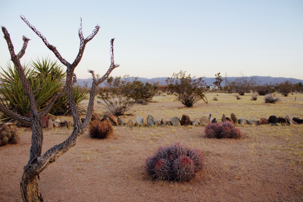 joshua tree national park