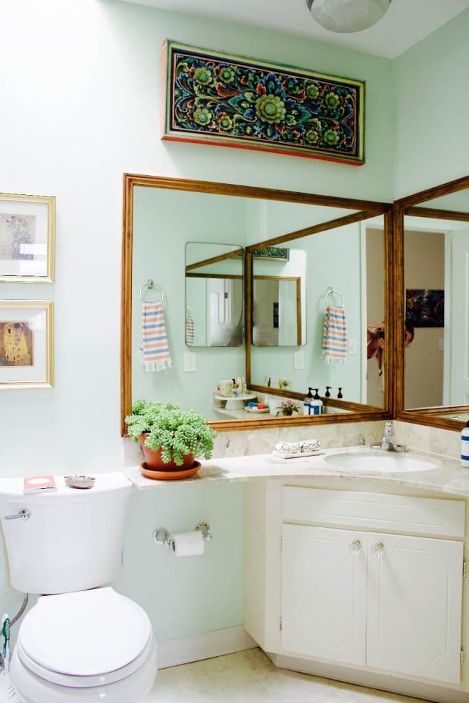 bathroom makeover mirror plant