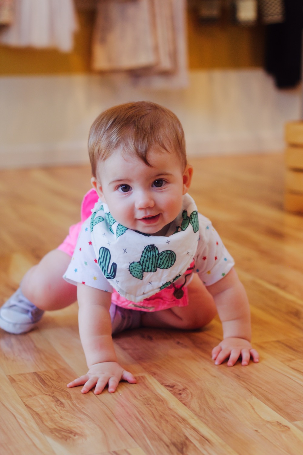 cactus baby bib bibdana