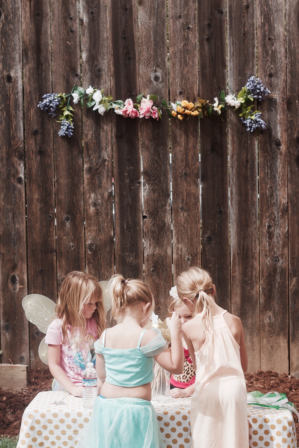 fairy party photo setup