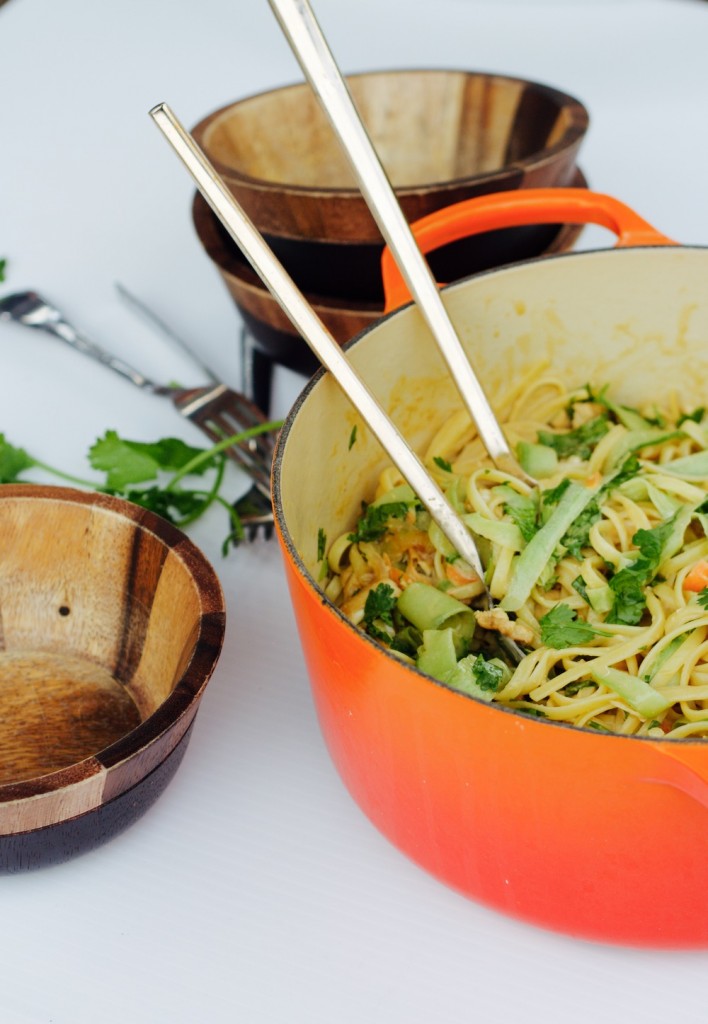 peanut noodles with chicken
