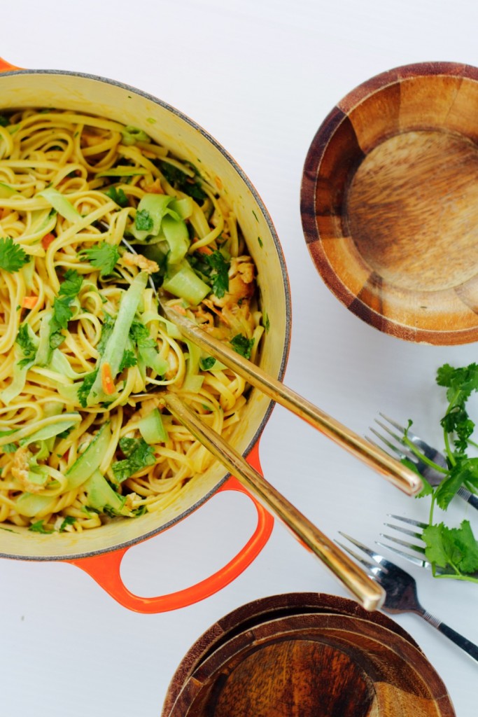 peanut noodles with chicken
