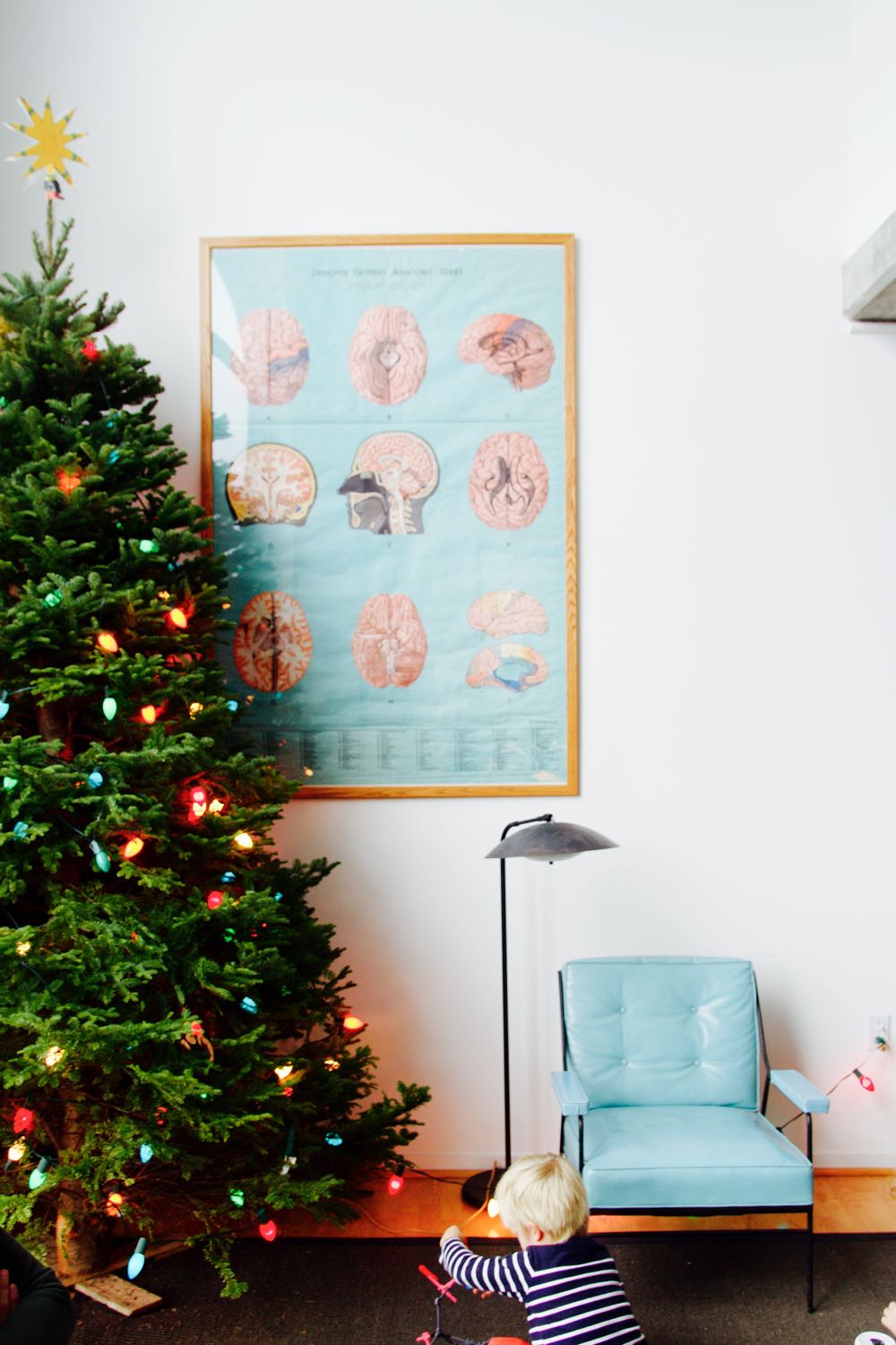 vintage anatomy poster featuring a brain diagram and a christmas tree 