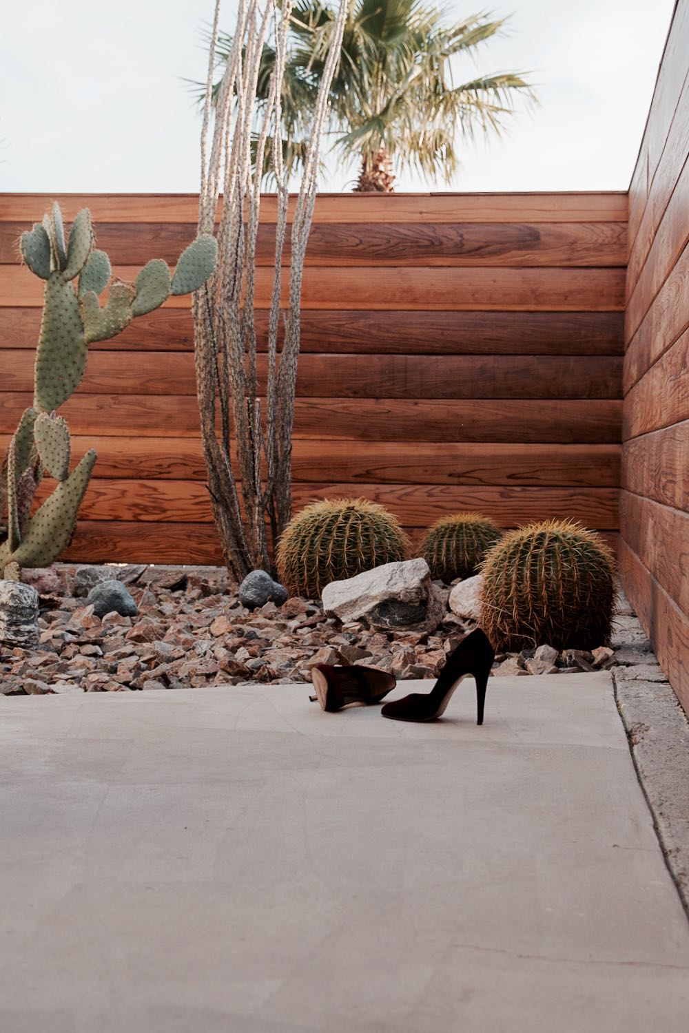 Midcentury modern outdoor yard space