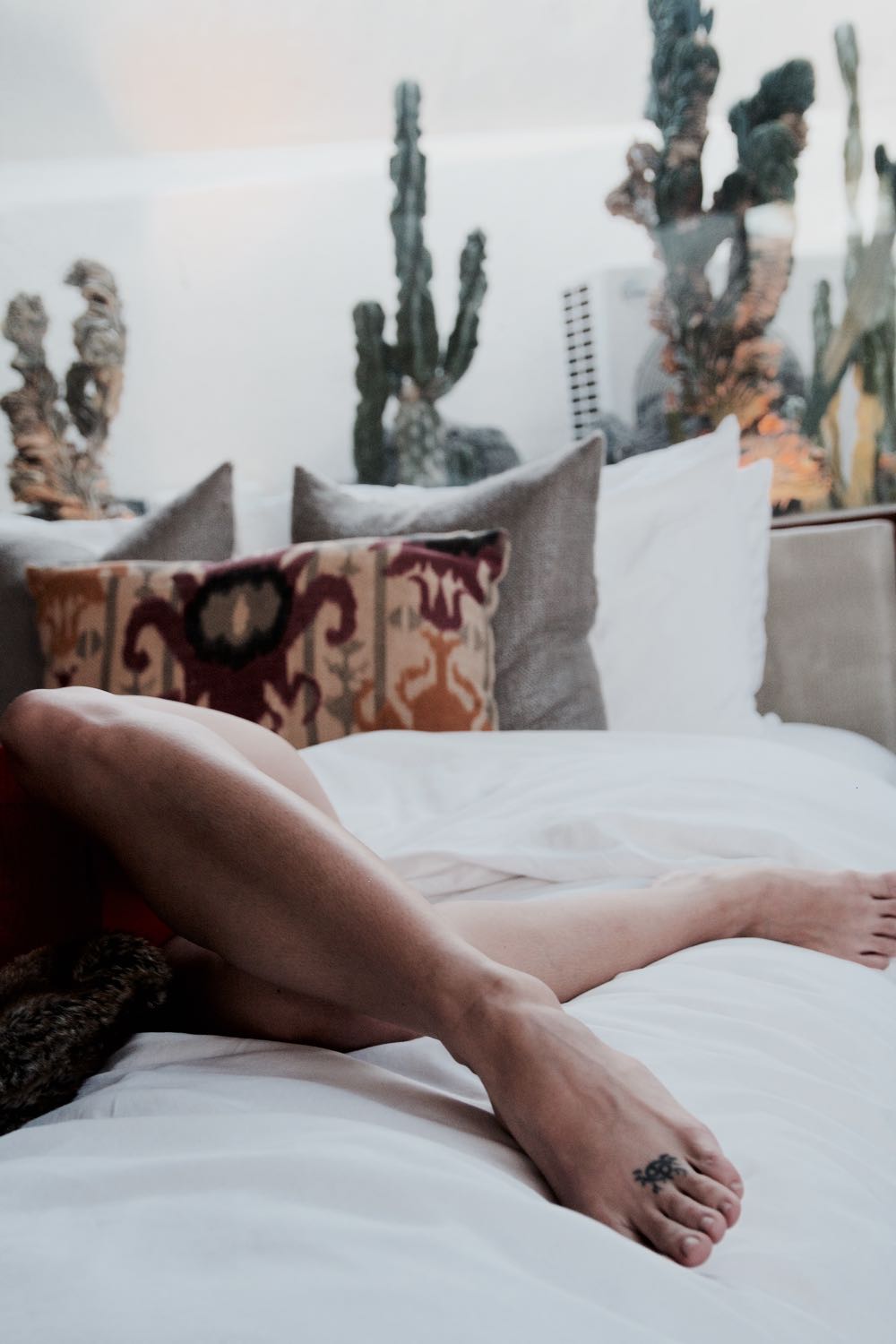 The Hotel Lautner, mid-century modern hotel in Desert Palm Springs