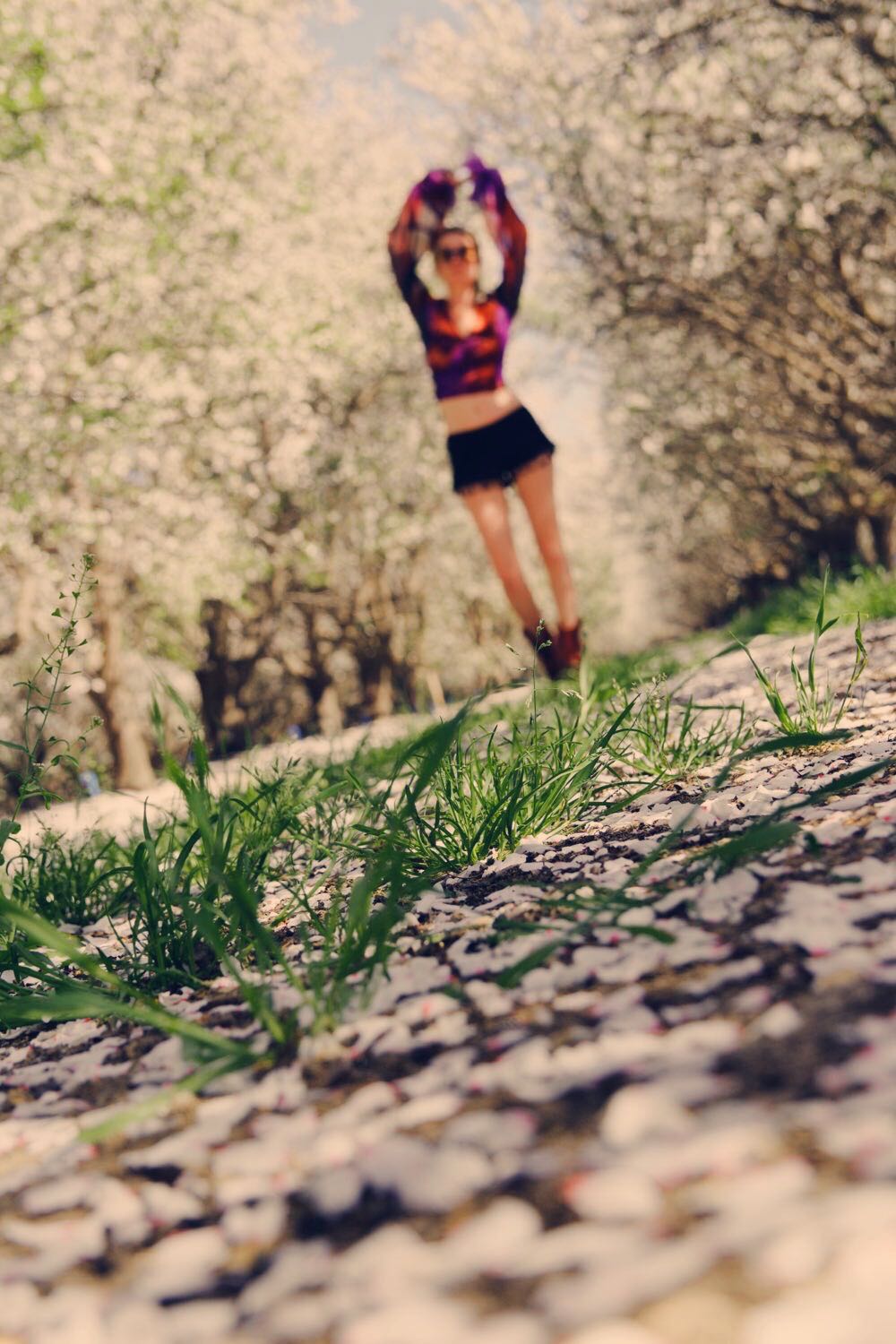Photo shoot in the almond blossom trees 