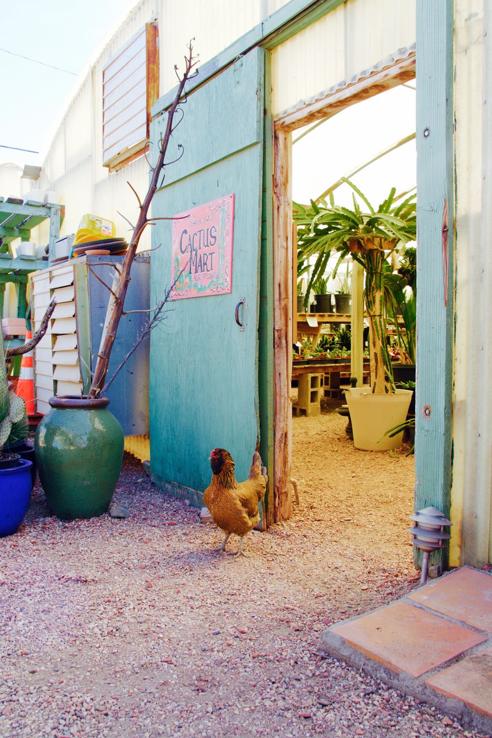 The Cactus Mart in Joshua Tree, California