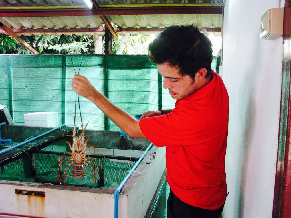 Holding up a crustacean in Phuket