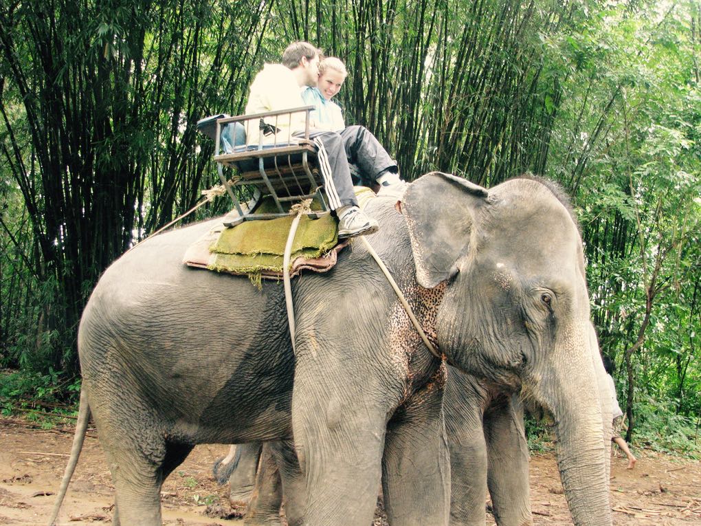 Riding elephants in Bali