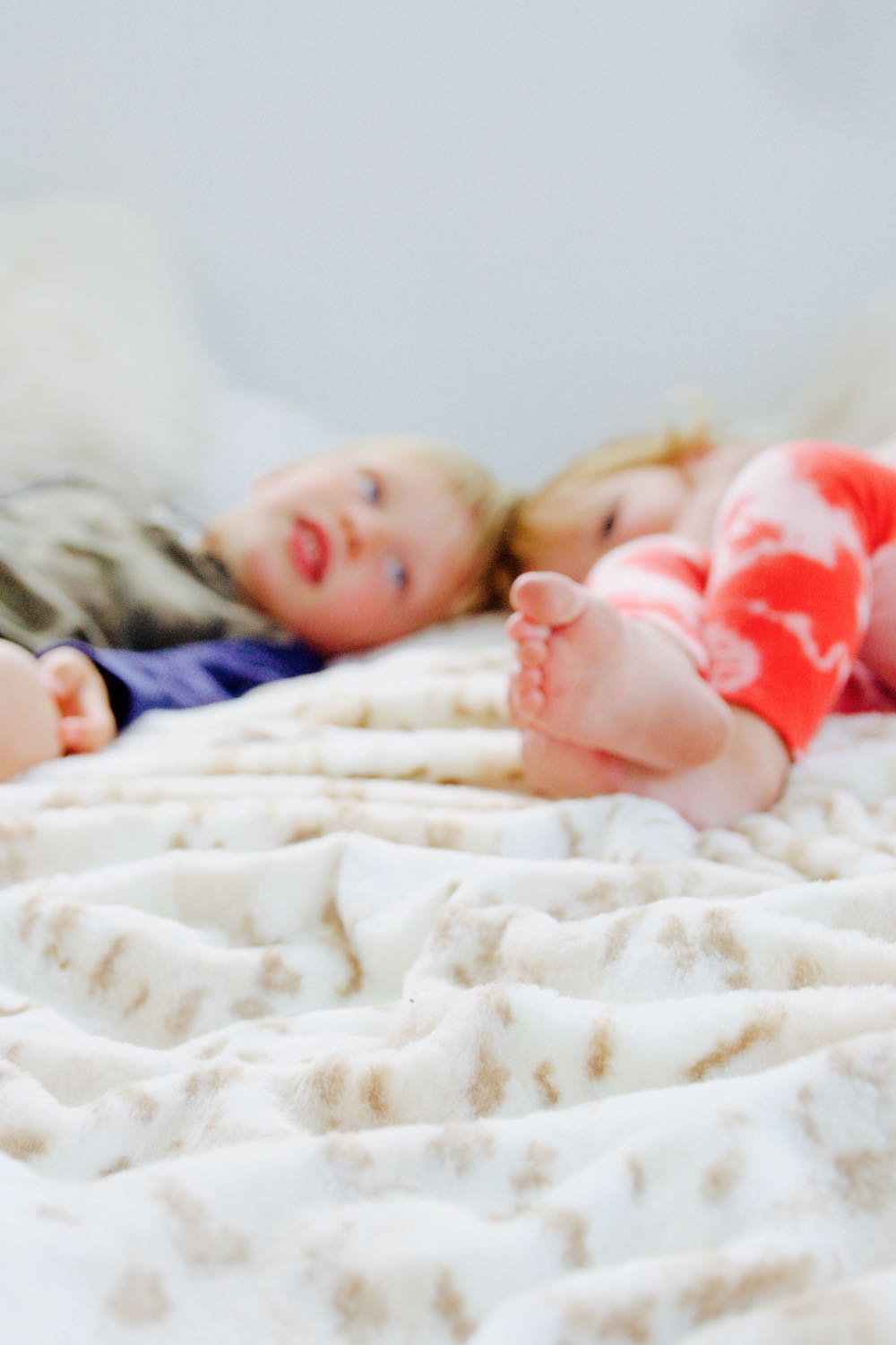 Super soft leopard print blanket from Kelly Van Halen
