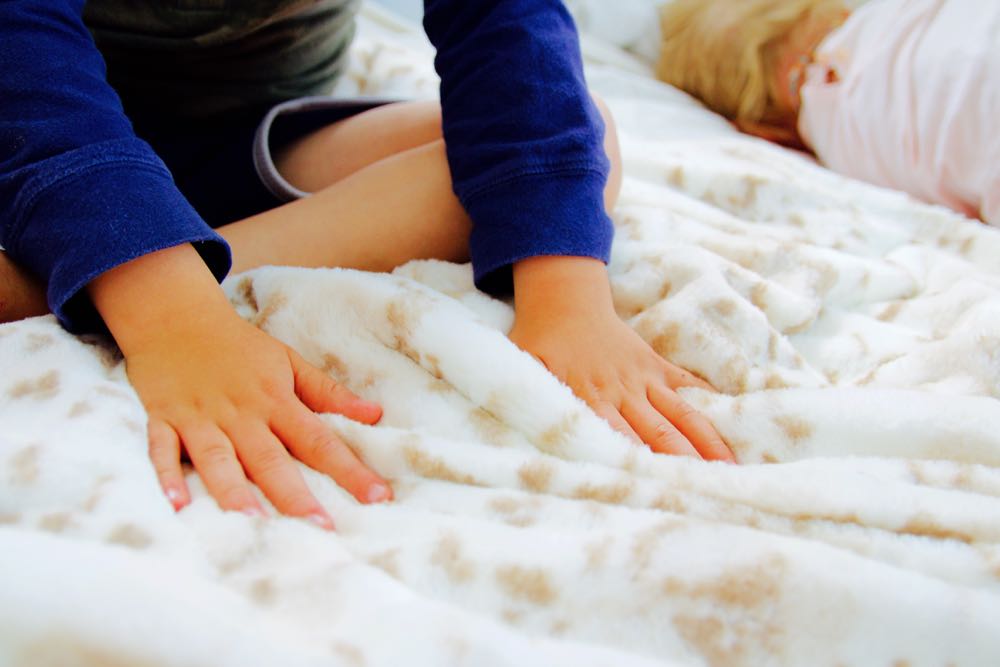 Super soft leopard print blanket from Kelly Van Halen