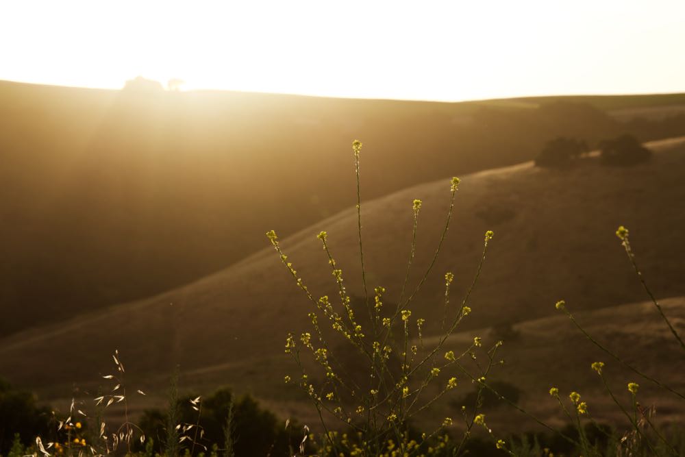 Sunset on the 101 from Carmel Valley