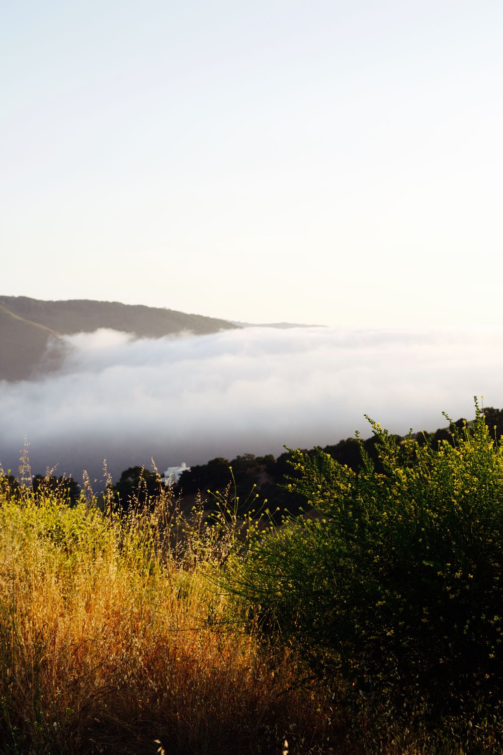 Low mist in the mountains in California