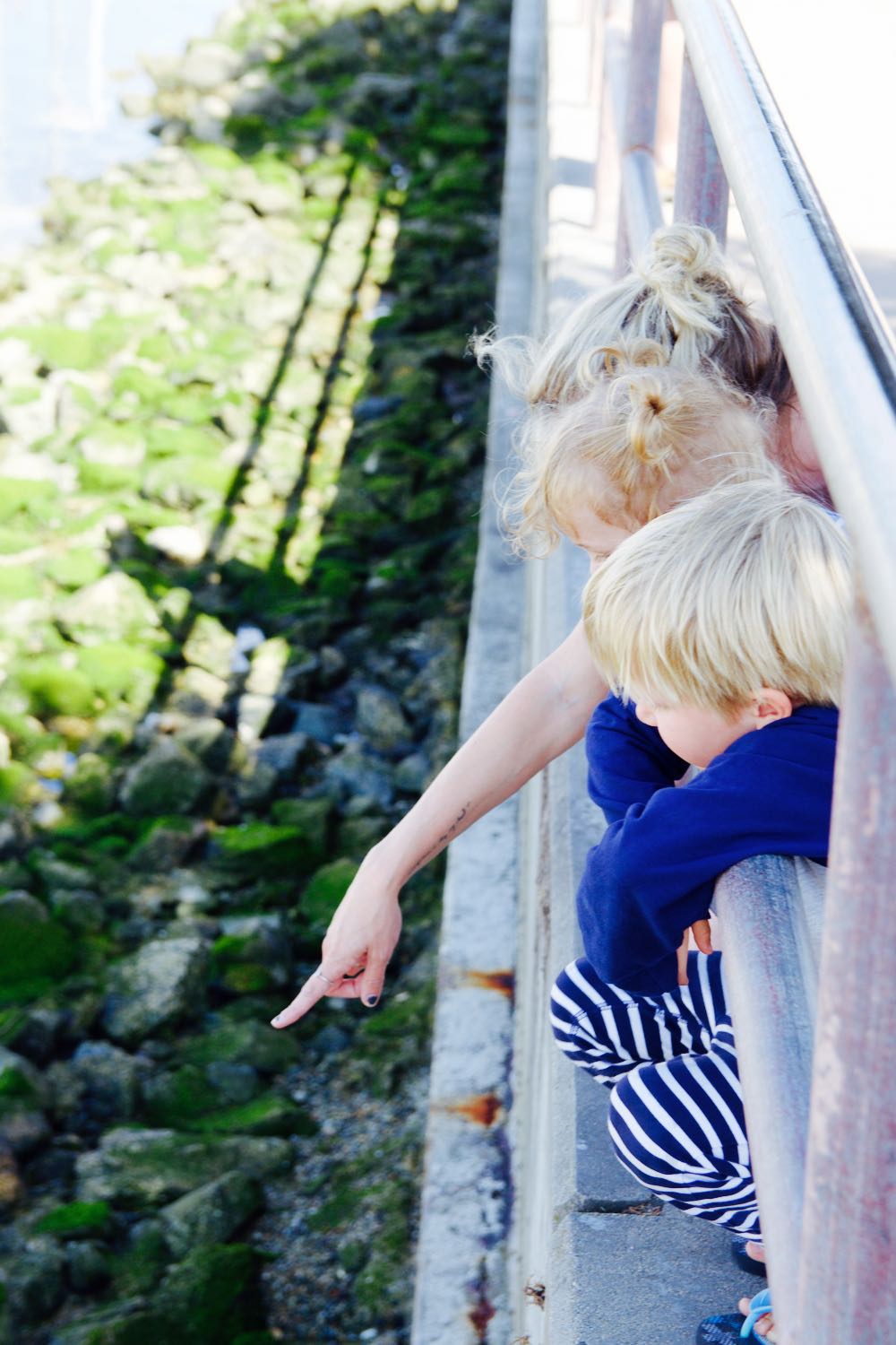 Looking for crabs in Monterey Bay with kids