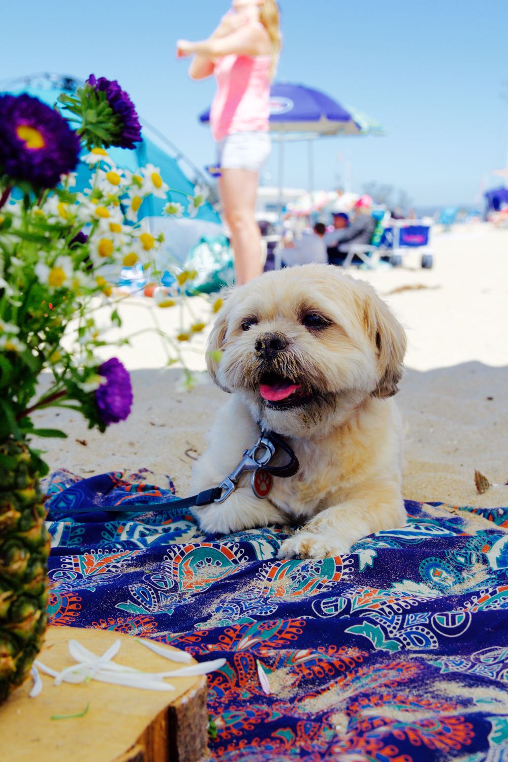 how to throw a birthday party at the beach