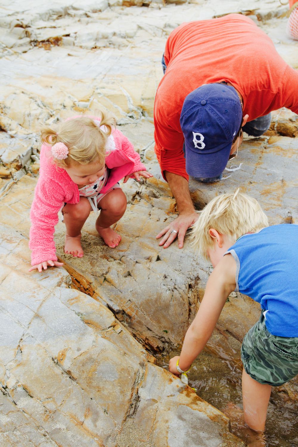 Hunting for crustaceans along the California coast