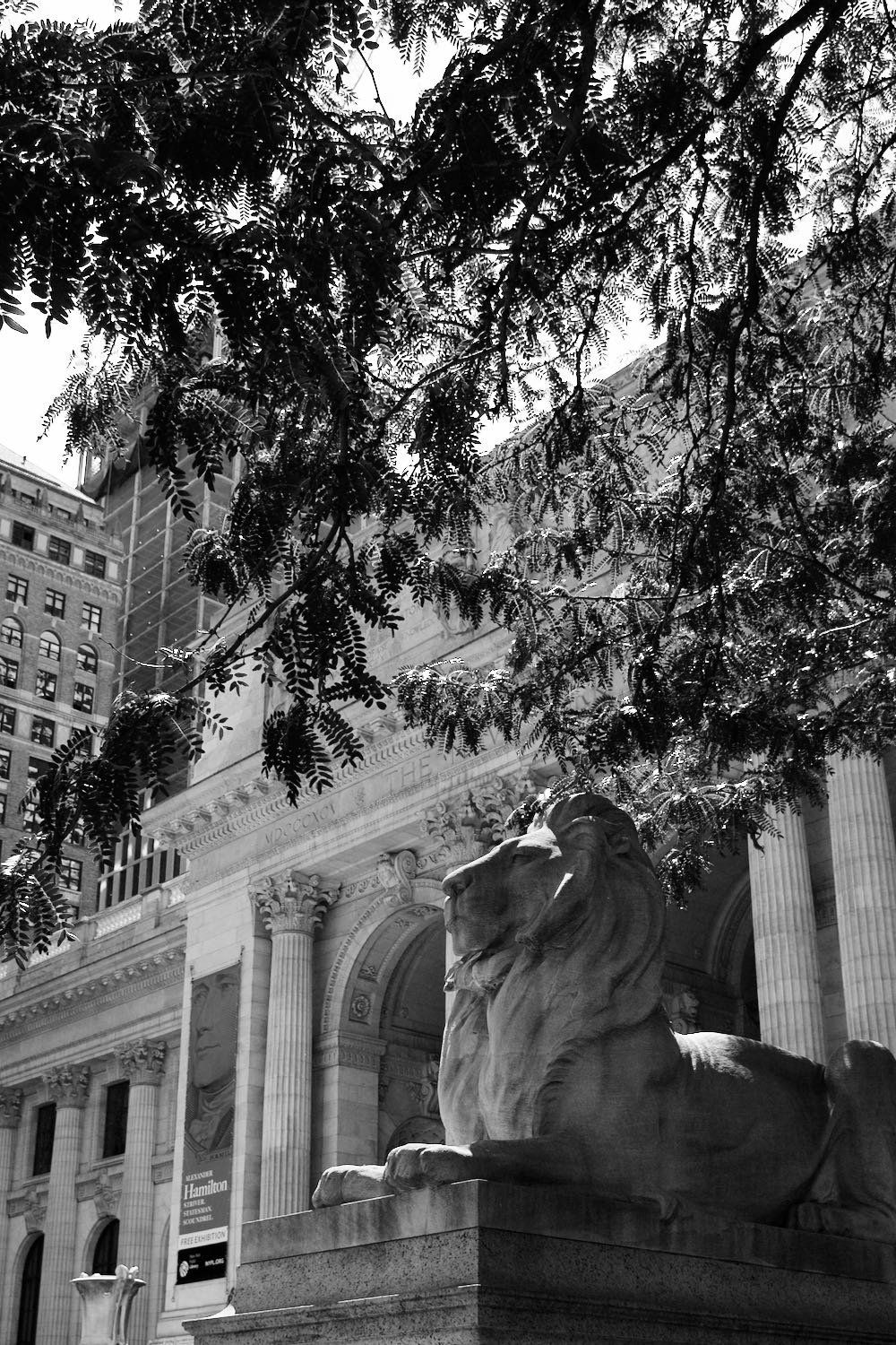 New York City public library in black and white