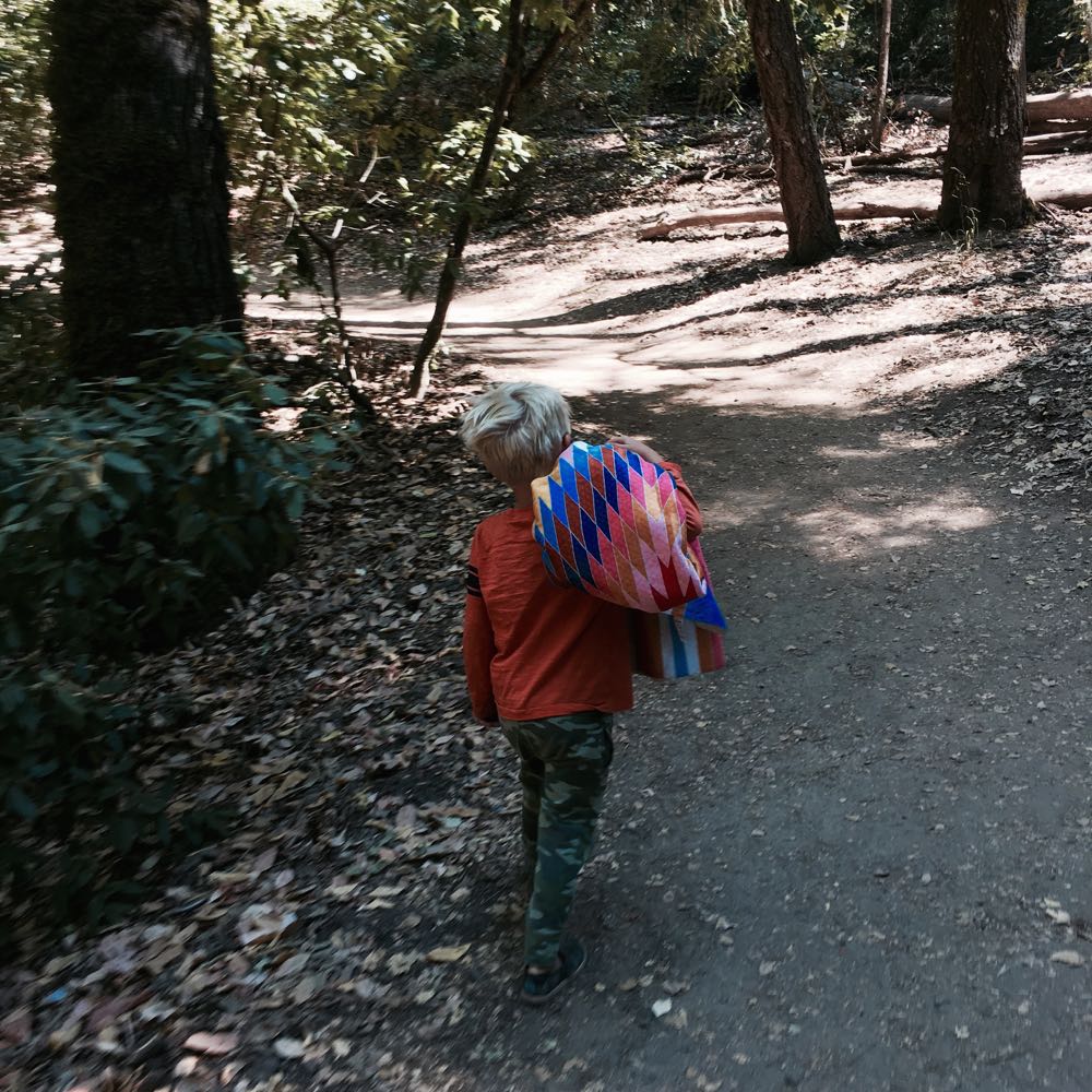 rock climbing in castle rock los gatos